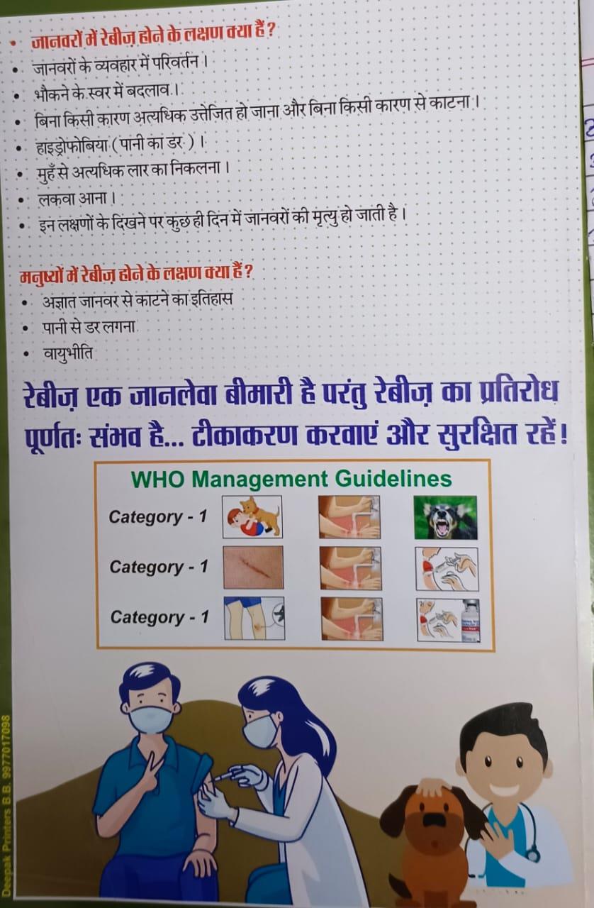 News Gallery